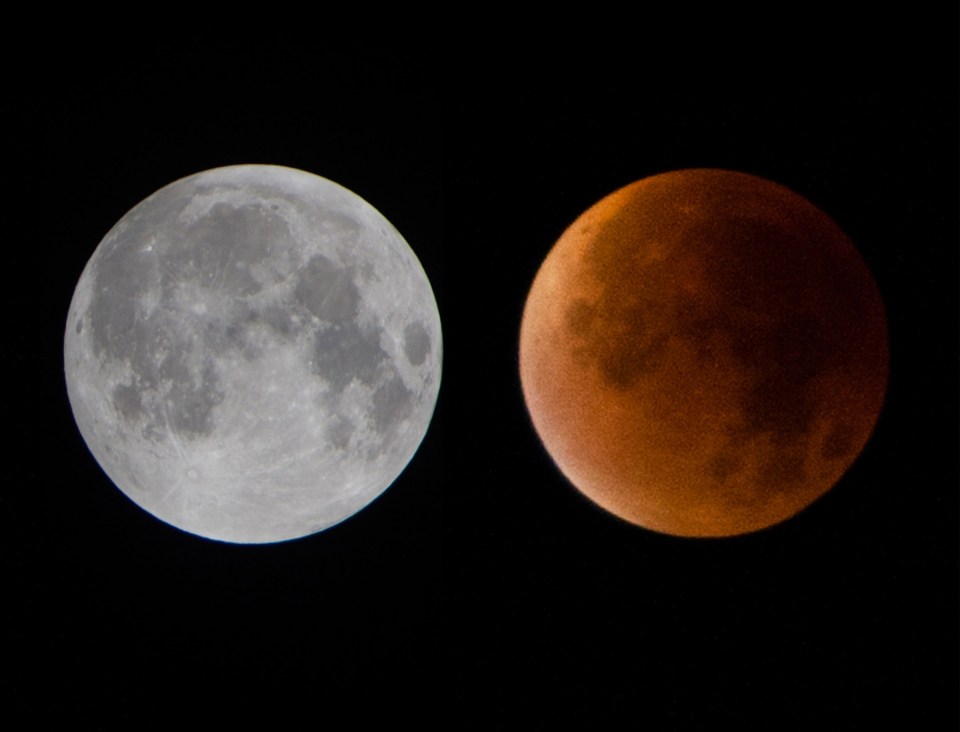 Digital composite image showing a supermoon and a blood moon.