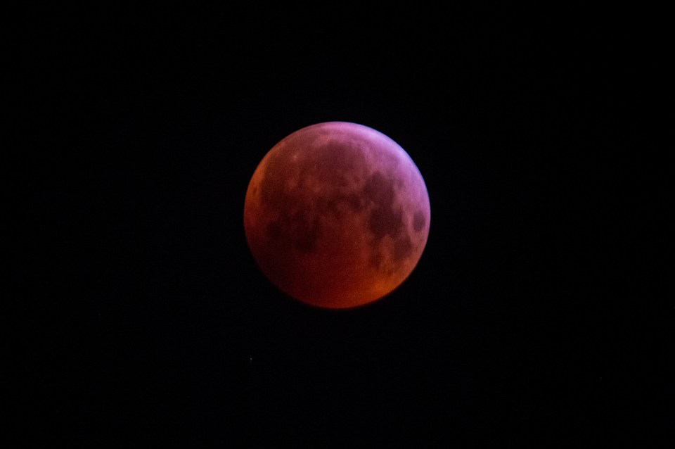 Super blood wolf moon.