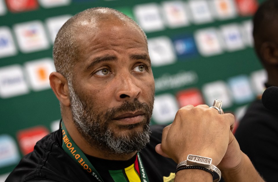 Mali's head coach Eric Chelle at a press conference.