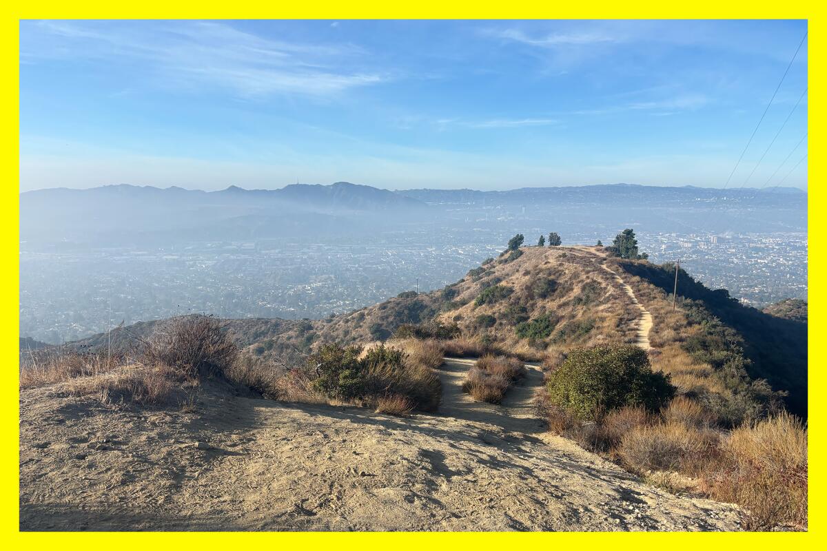 A view from the top of the hike.