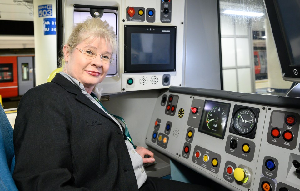 Train driver at the controls of a train.