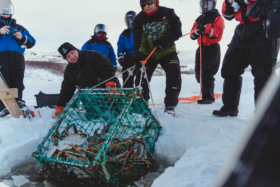 People pulling a crab trap from a hole in the ice.