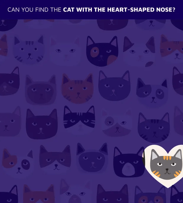 Illustration of a cat puzzle: find the cat with a heart-shaped nose.