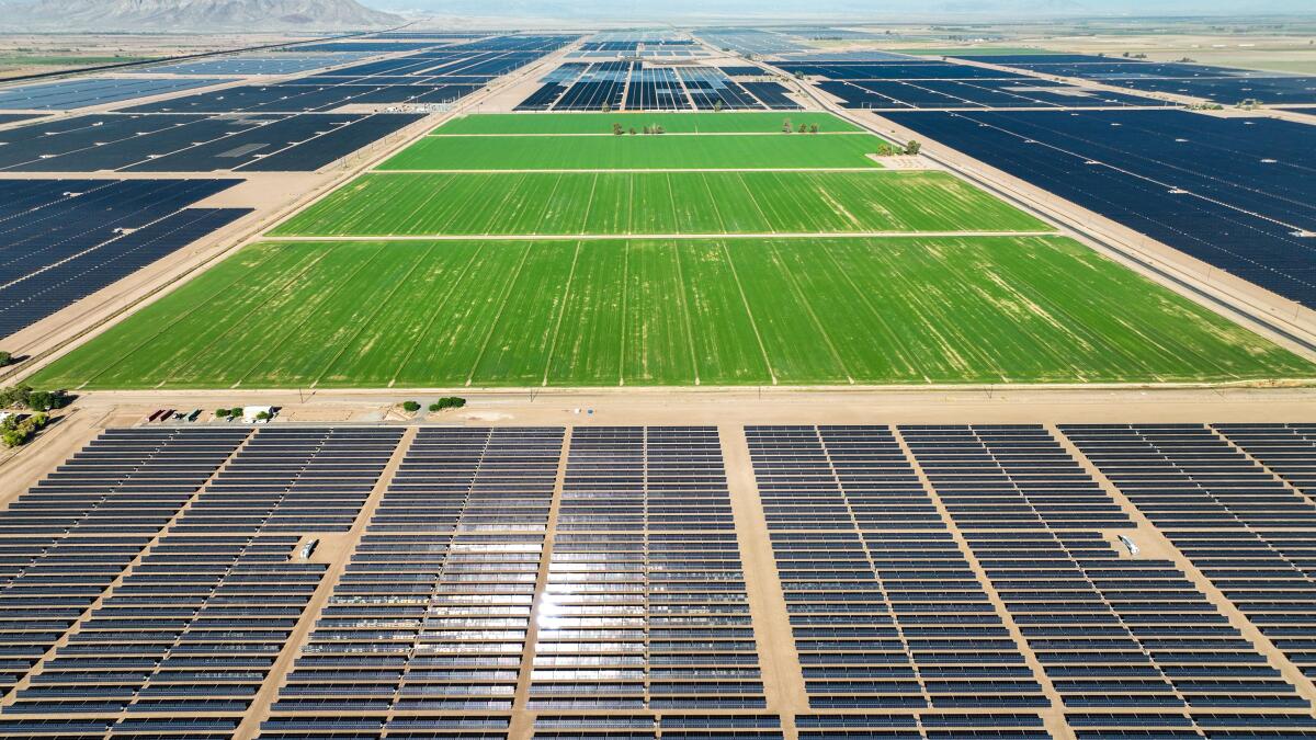 Solar panels surround a farm field in California's Imperial County.