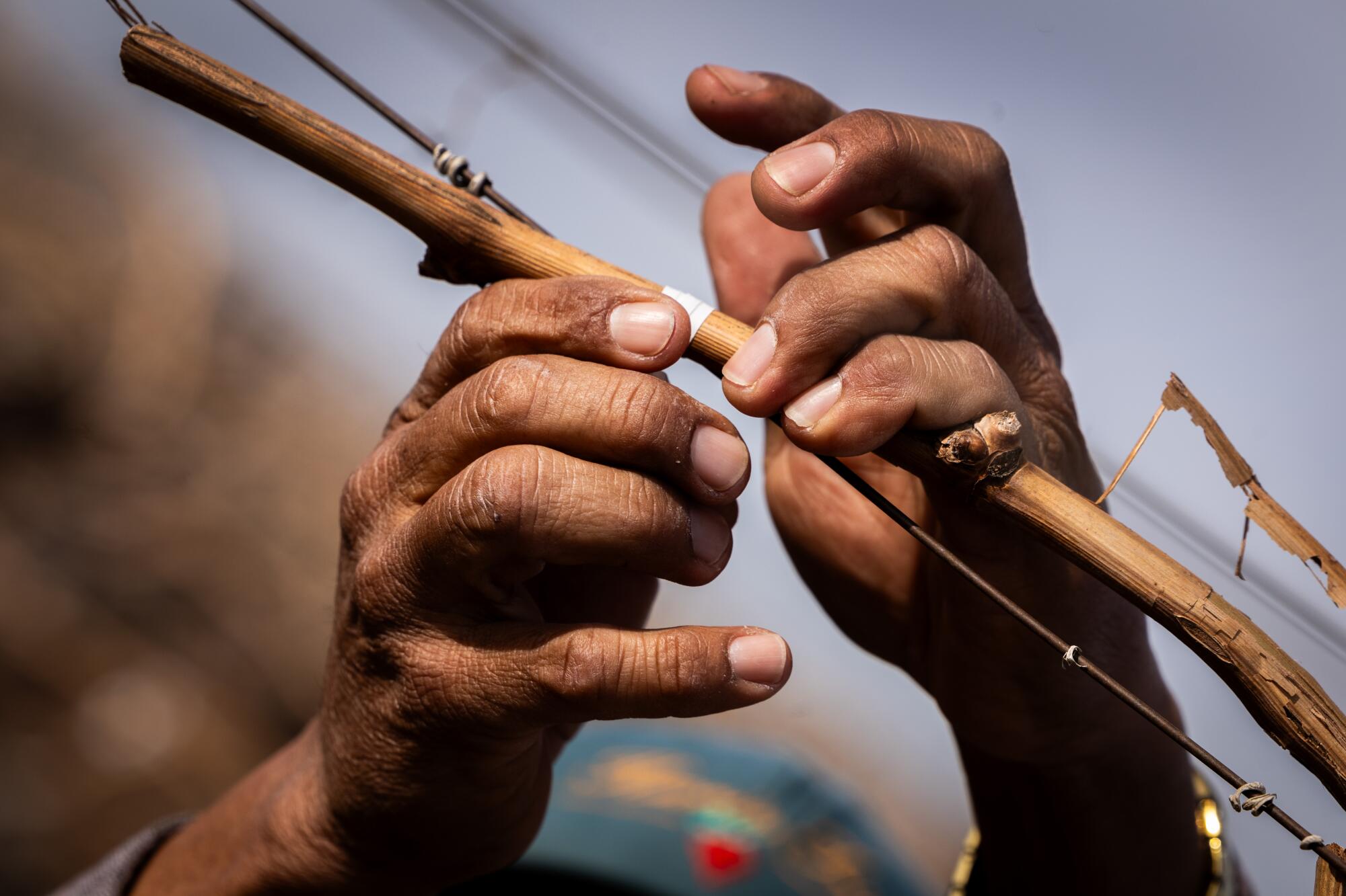 A close-up photo of hands tying a grape vine to a wire.