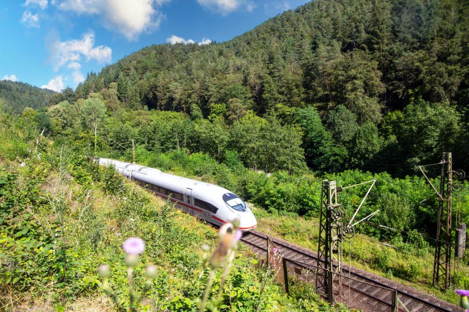 High-speed train traveling through a forest.