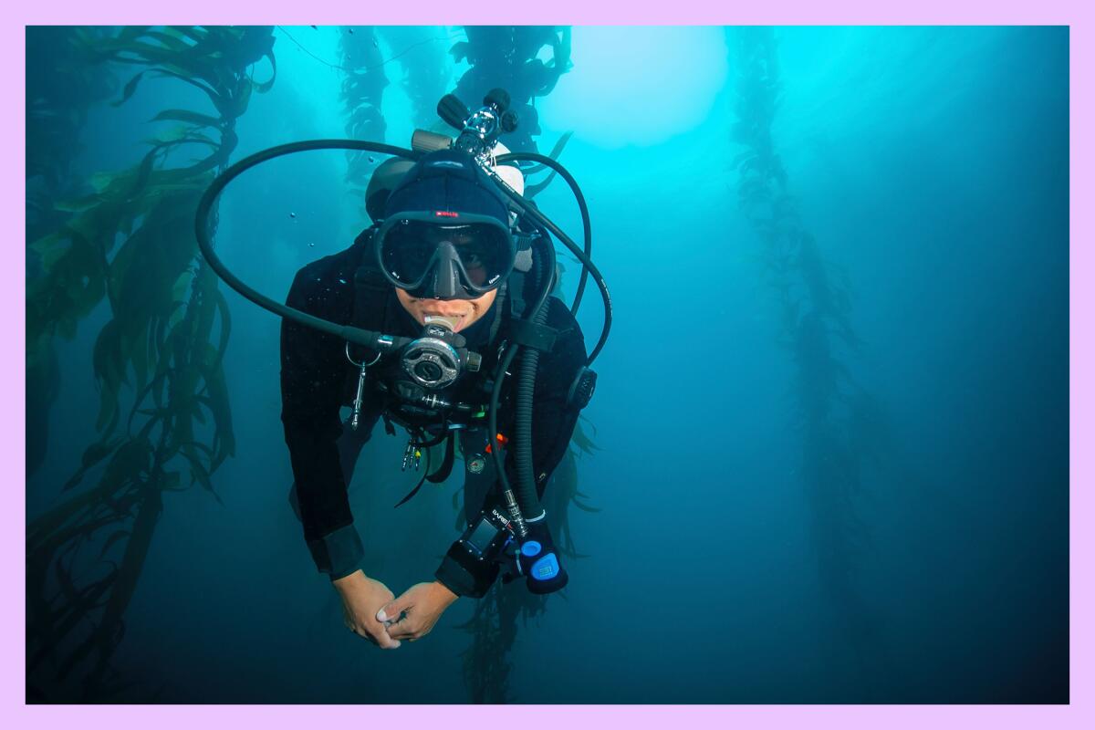 A human underwater in a scuba diving suit.