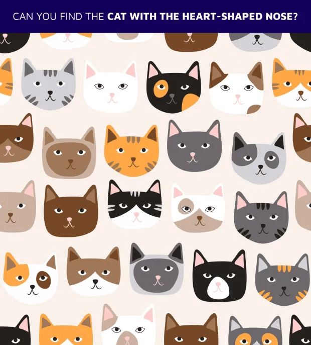 Illustration of a cat-finding puzzle; find the cat with a heart-shaped nose among many cats.