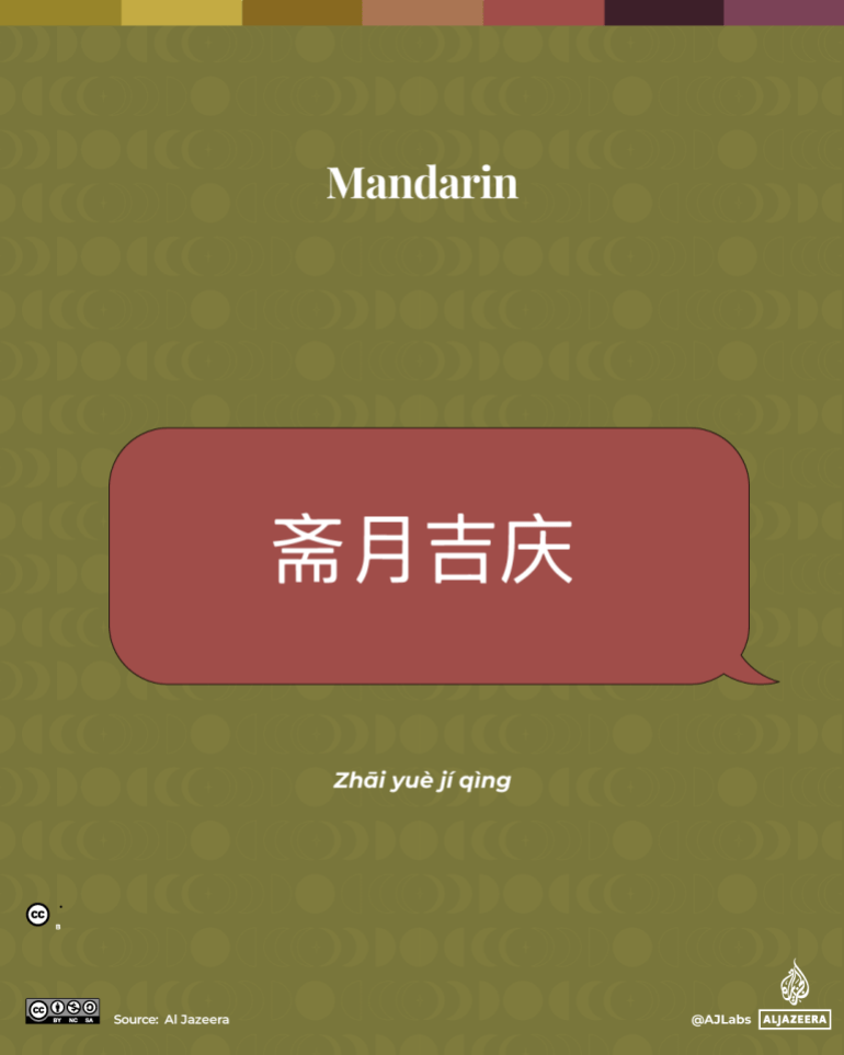 Interactive_Mandarin-1740488591