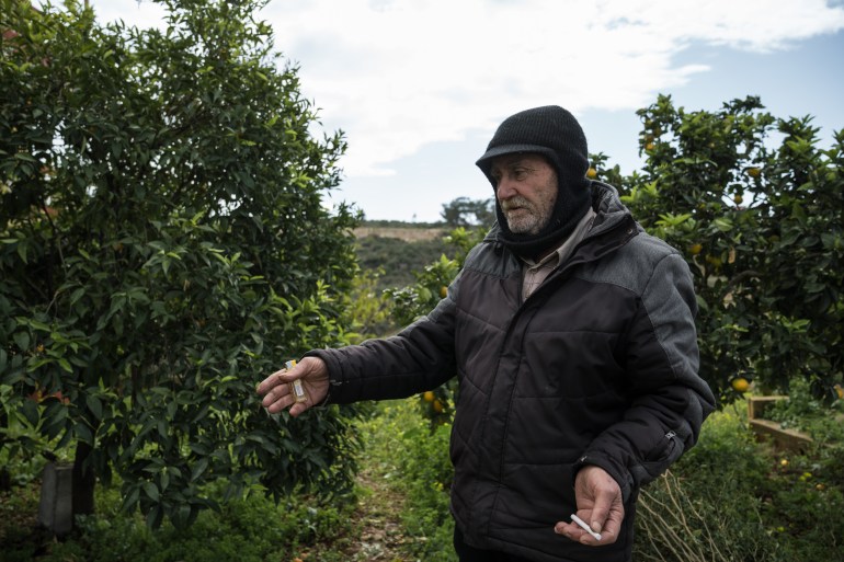 Ali Shaabi came home after the Israeli withdrawal from Naqoura to find his mango tree dug out of the ground (Raghed Waked/Al Jazeera)