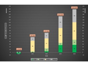 Net Present Value Growth and Market Capitalization Trends (2020-2024)