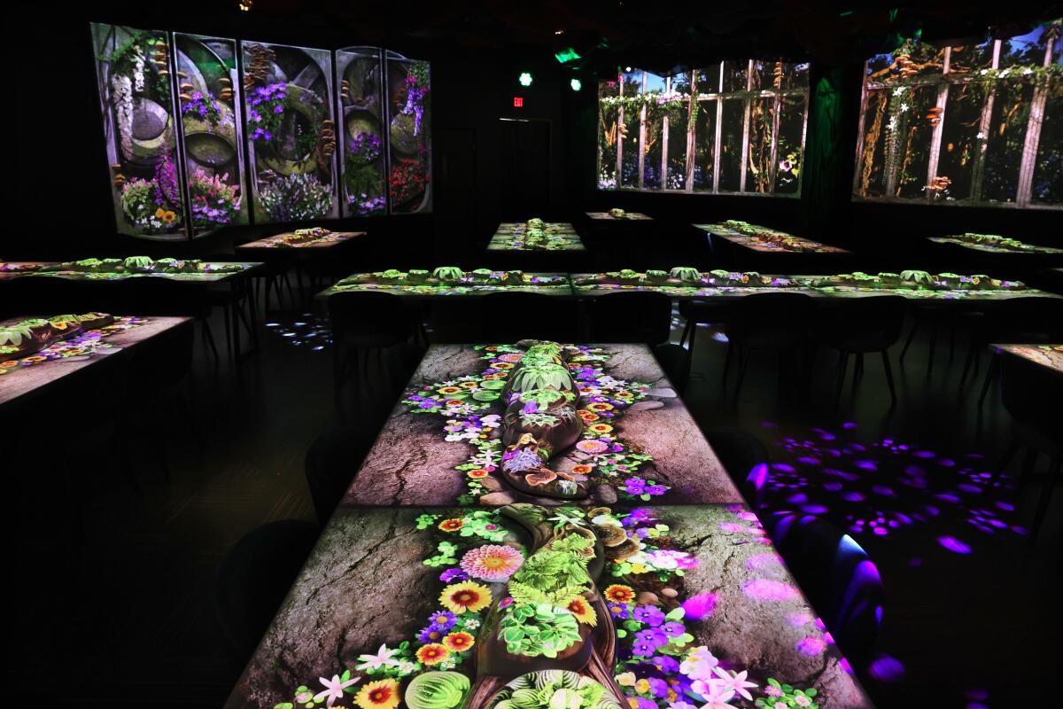 Projectors illuminate dining tables in a dark room with colorful images