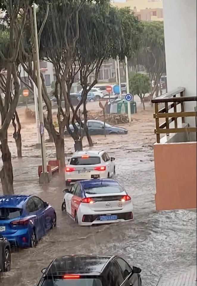 Cars submerged in floodwaters.