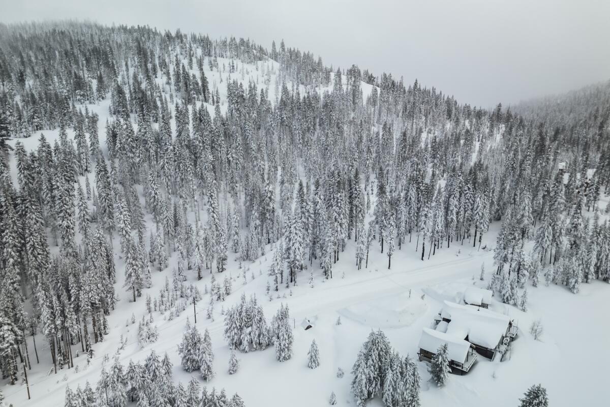 Snow covers a hillside during a winter storm in Soda Springs, Calif., in February.