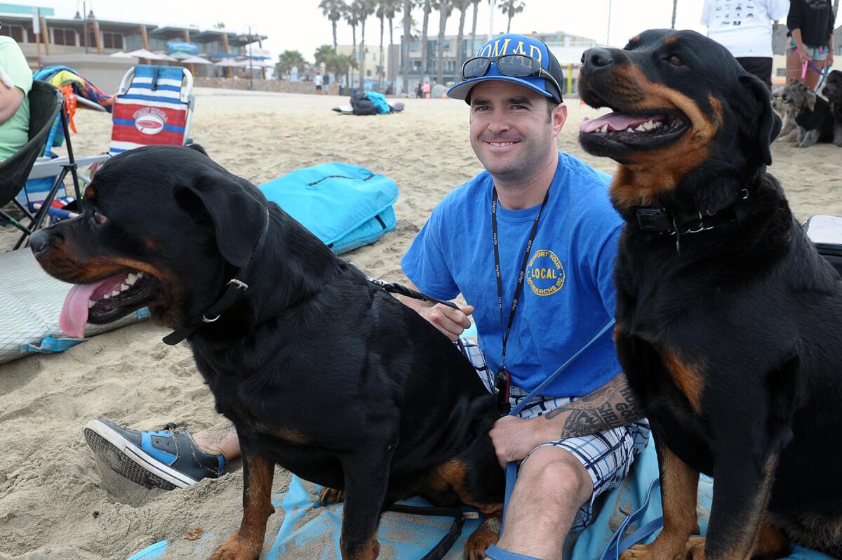 Dogs competed in the 14th annual Imperial Beach Surf Dog Competition in August 2019.