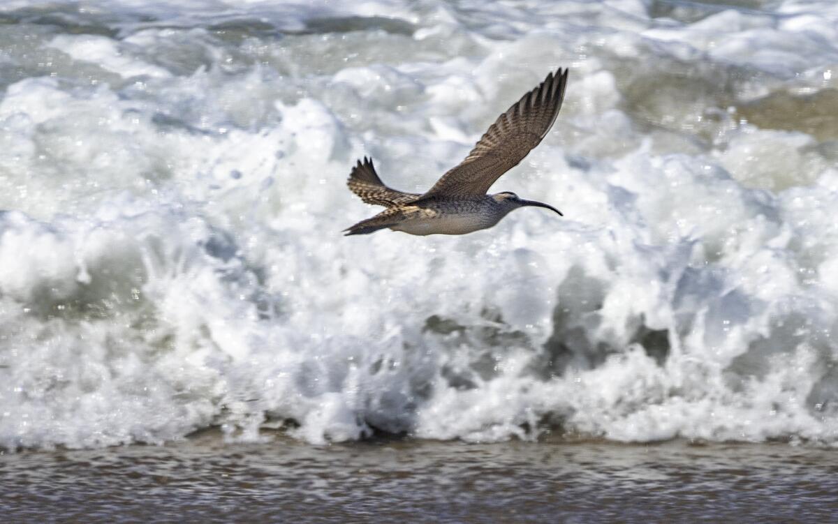 Jalama State Beach, CA - October 03: 