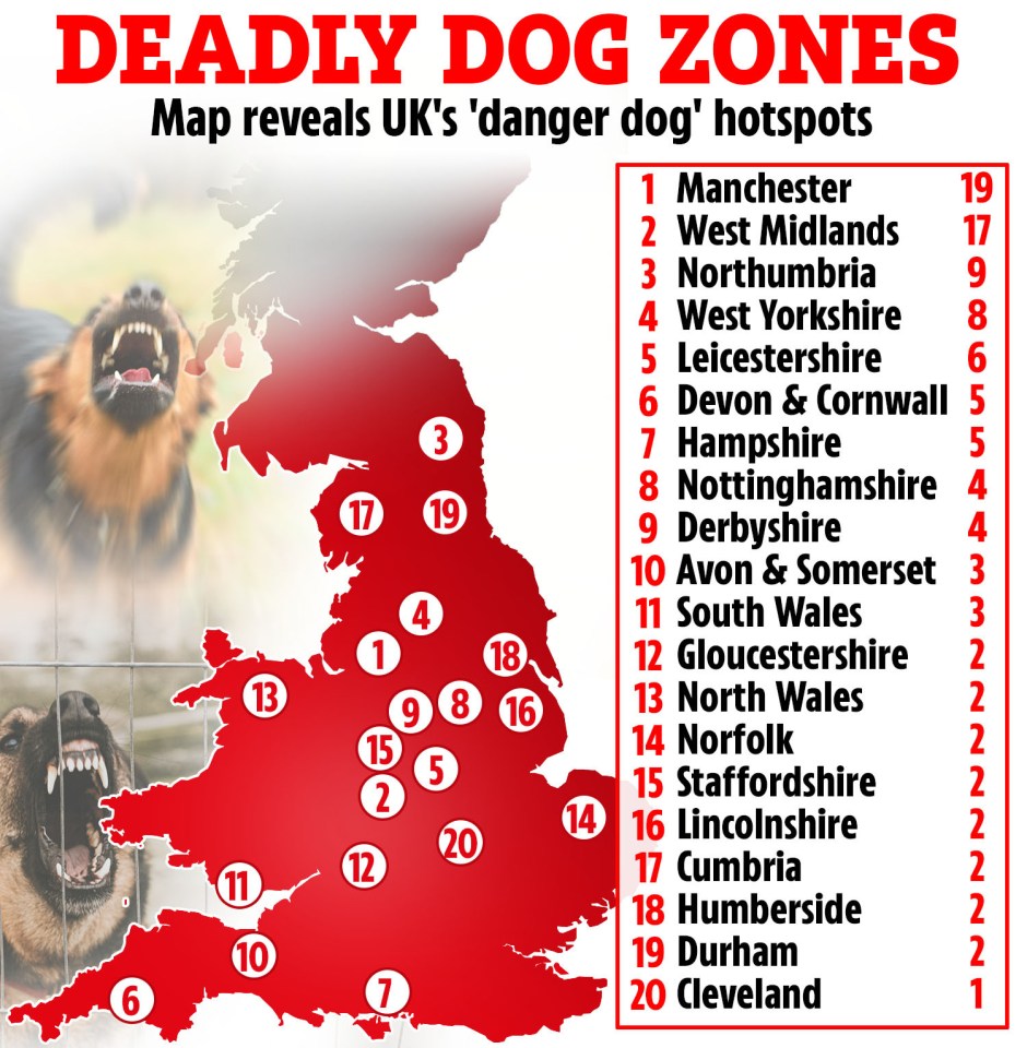 Map of UK's dog attack hotspots.