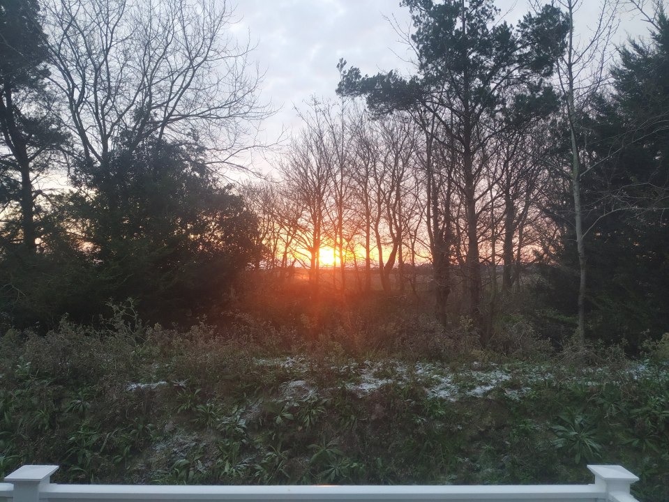 Sunset viewed through leafless trees.