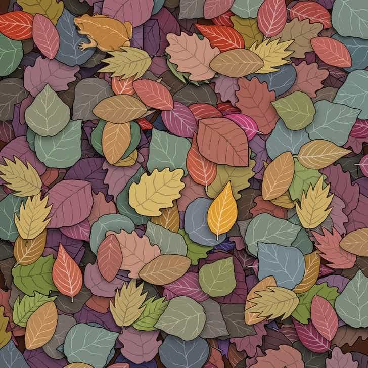 Illustration of a frog among autumn leaves.