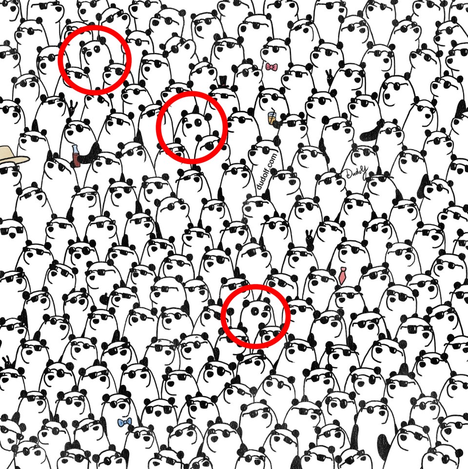 Illustration of three pandas hidden among many other pandas wearing sunglasses.