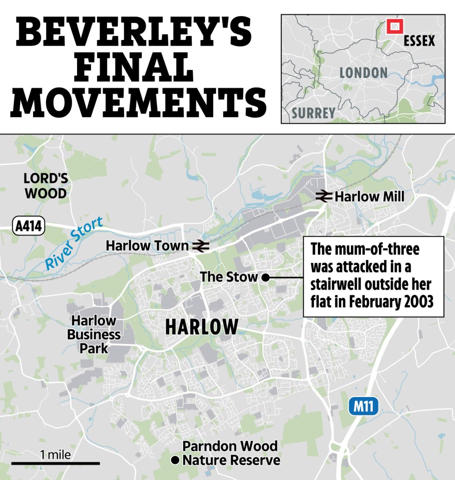 Map of Beverley's final movements in Harlow, showing where she was attacked.