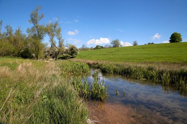 Marshfield boasts some of Britain's top-rated spring walks, including a scenic seven-mile trail that meanders through rivers, woodlands, and rolling fields