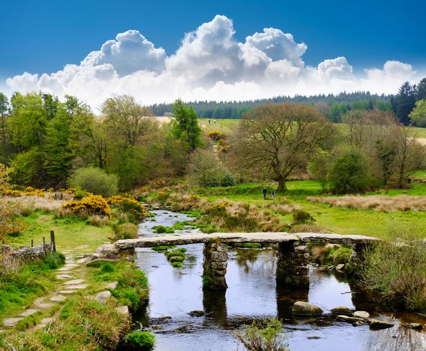 The Marshfield Walk is a beautiful 7-mile circular route, which is the perfect way to enjoy a sunny day in spring