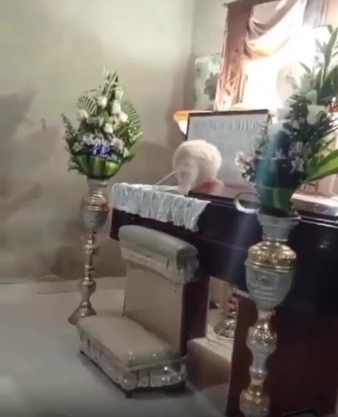 Dog jumping into its owner's coffin at a funeral.