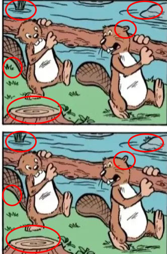 Illustration of a find-the-differences puzzle featuring two beavers carrying a log.