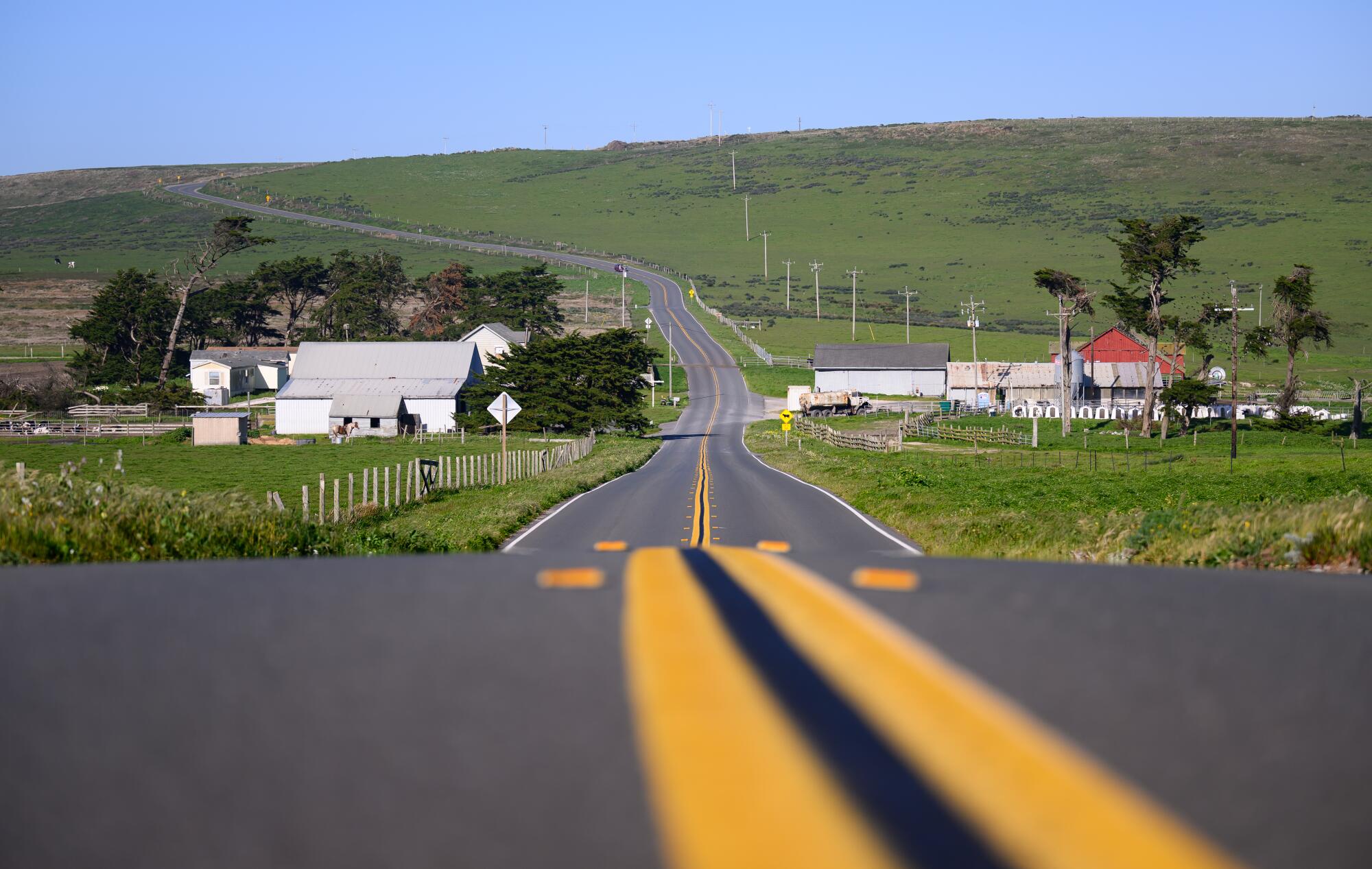 A road cuts through hilly green pastures at Point Reyes National Seashore.