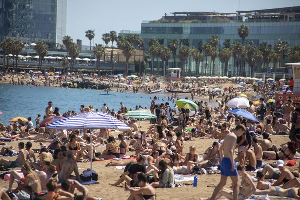 A picture of a crowded beach during the summer