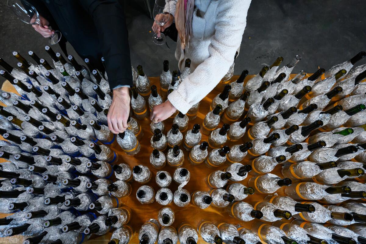 Nearly 400 bottles of wines at a tasting for a wine competition called the 1976 Redo.