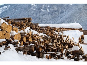 Stacks of raw logs in the Downie Timber and Selkirk Cedar Ltd. lumber yard in Revelstoke, British Columbia, Canada, on Monday, Feb. 3, 2025. Canada is the biggest foreign supplier of lumber to the US, accounting for as much as 30% of supplies.