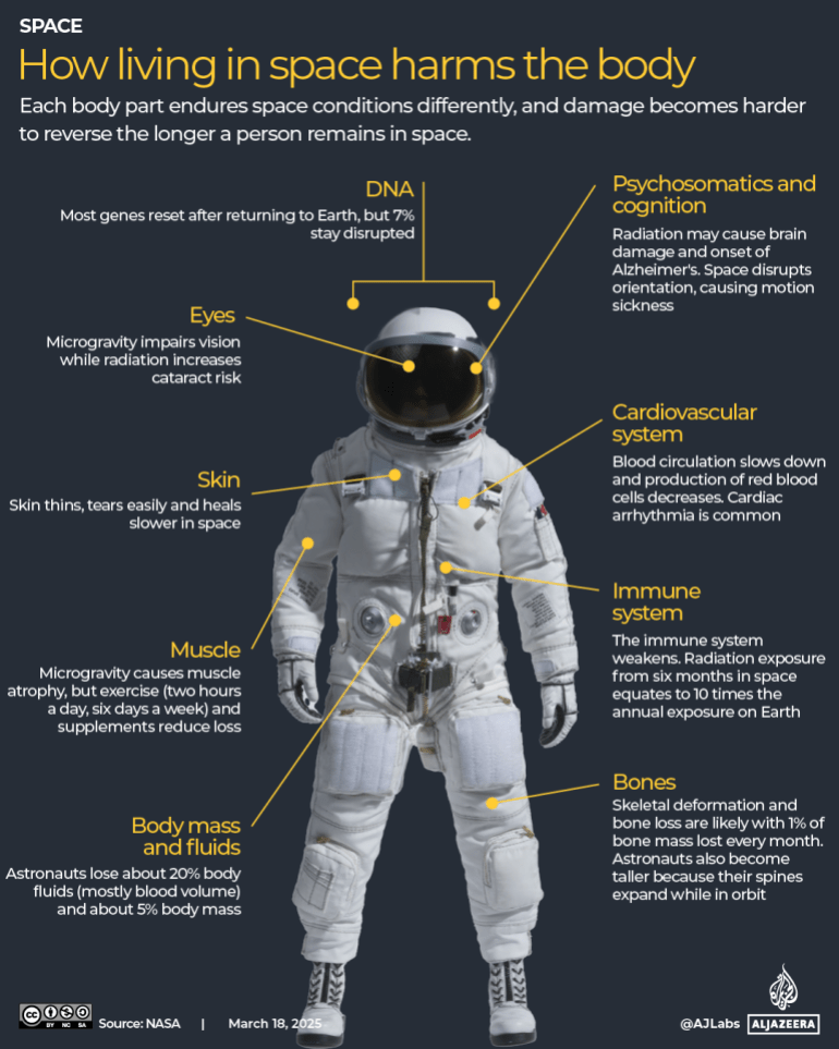 INTERACTIVE-HOW-SPACE-HARMS-BODY1-1742321325