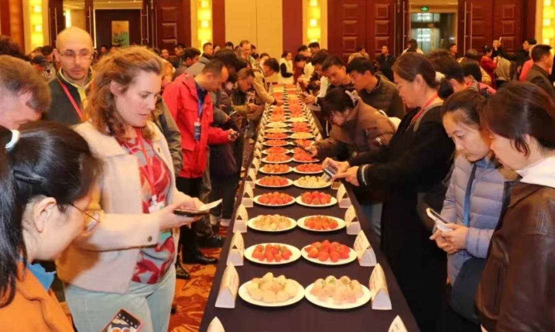 Strawberry Promotion Event of the 10th International Strawberry Symposium in Yandu, China.