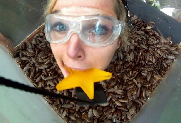 The trials are always a fan favourite part of the show