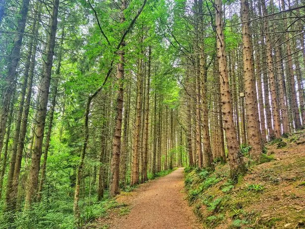 Outside of the spa, there are other wholesome wellness activities to enjoy, including scenic woodland trails