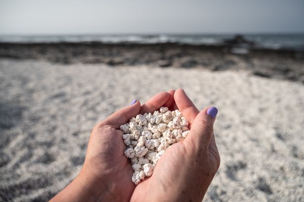 Popcorn Beach, Fuerteventura Island in the Canary Islands