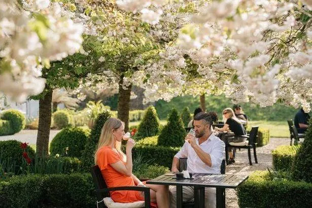 Two people sit under blossom trees in the sunshine at The Grove in Narberth