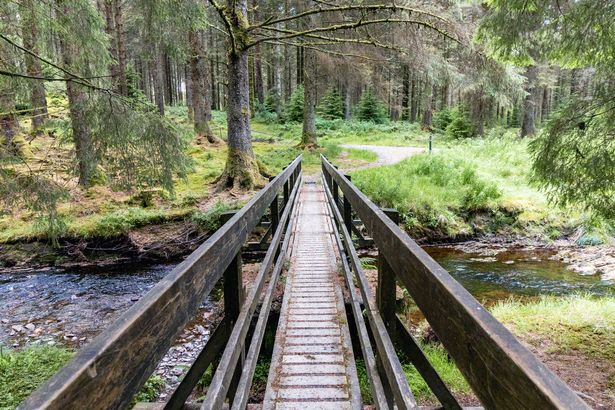 Footbridge over the river severn in hafren forest, Wales. The bridge is part of a walking trail.