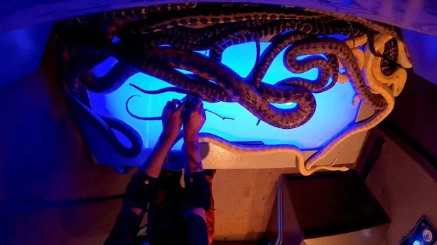 He had to deal with snakes