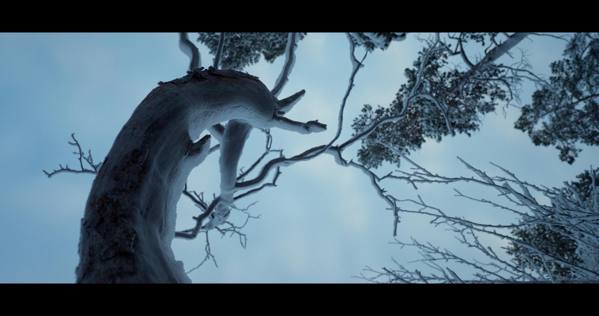 Rachel Grady and Heidi Ewing's "Folktales"