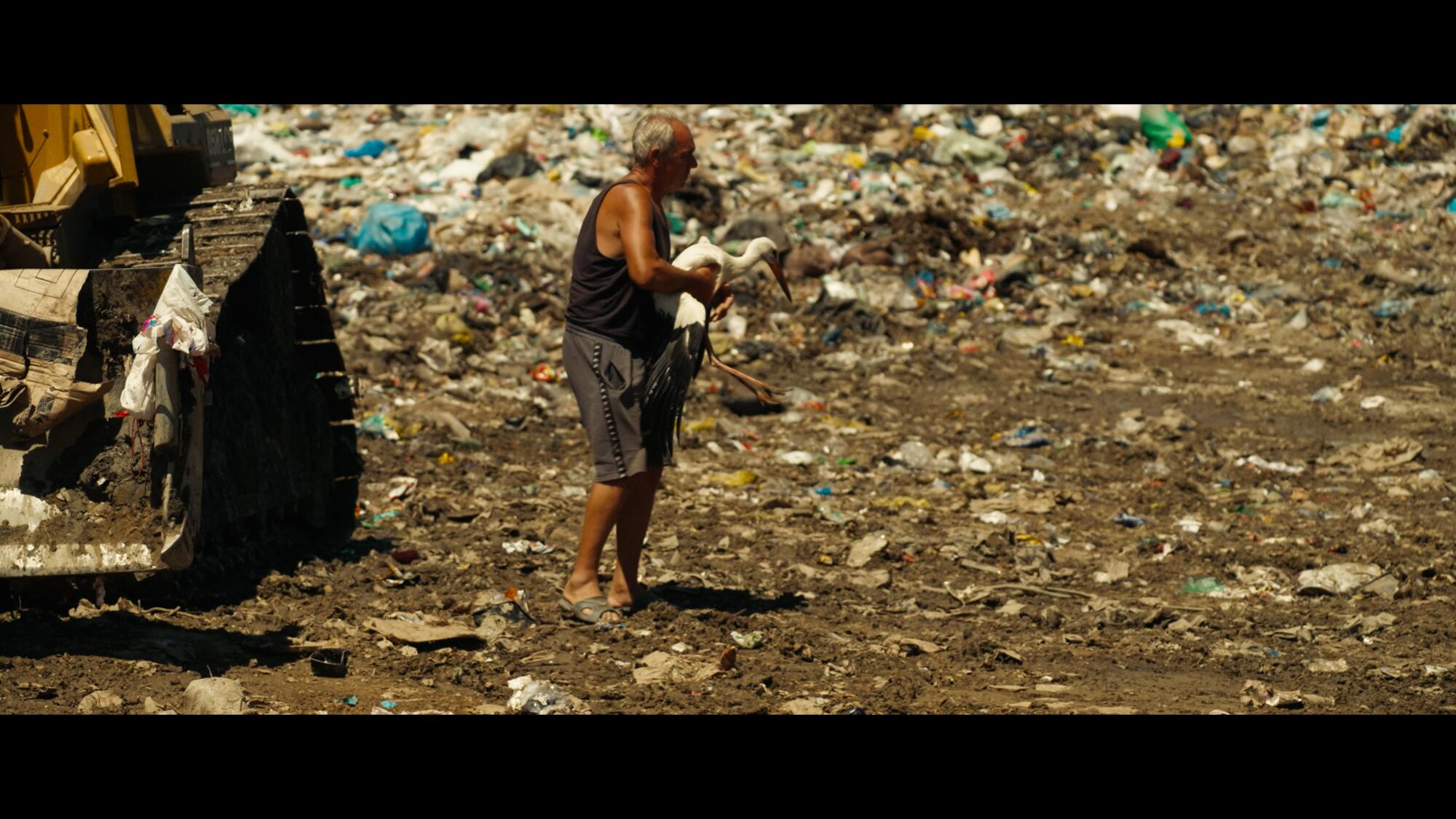 Tamara Kotevska's "The Tale of Silyan."