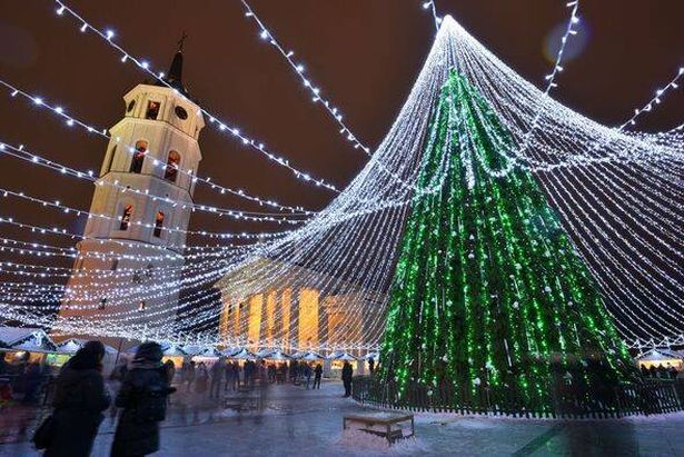 Night view of the christmas tree in Vilnius