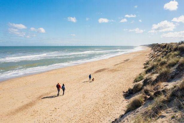 Drone view of a family taking their dog for a walk on a bright sunny autumnal day