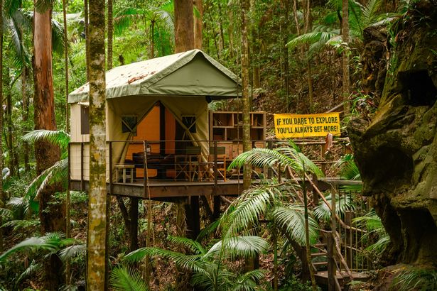 Im A Celeb Treehouse