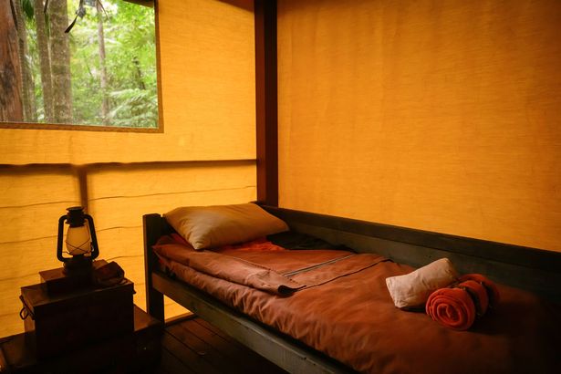 Comfy beds for Vogue and Tom