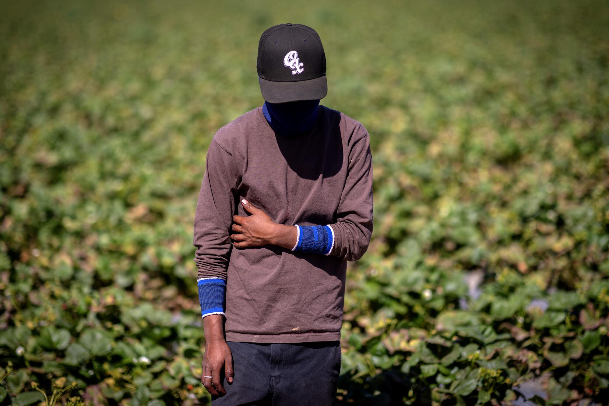 A 17-year-old strawberry picker