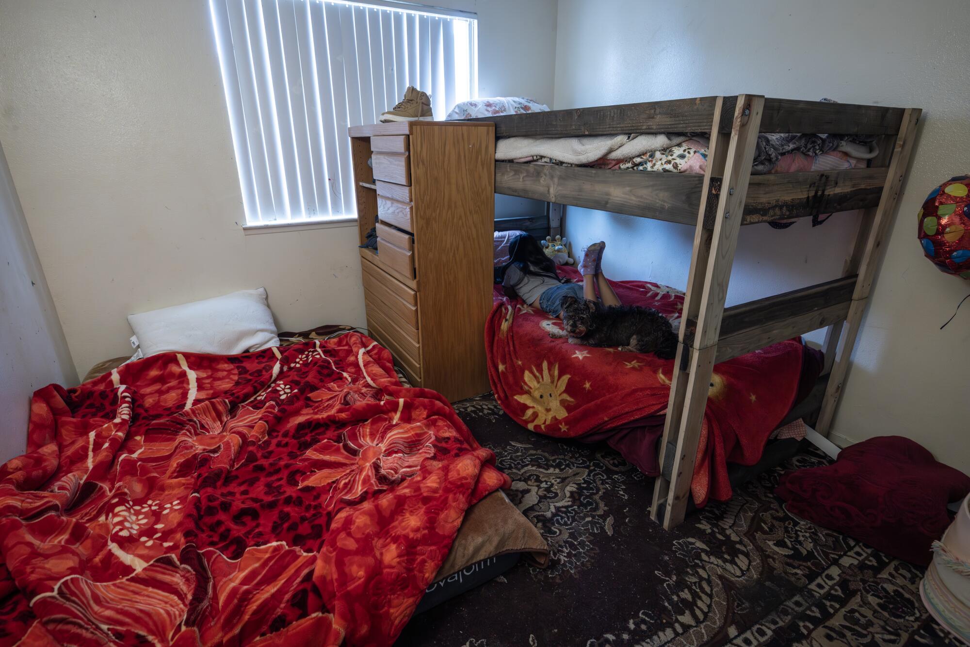 Three sisters share this bedroom in a family's apartment