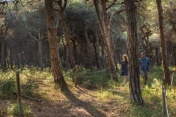 Europe's most untouched forest is open just 10 days a year and has barely any tourists